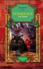 Черный кот
