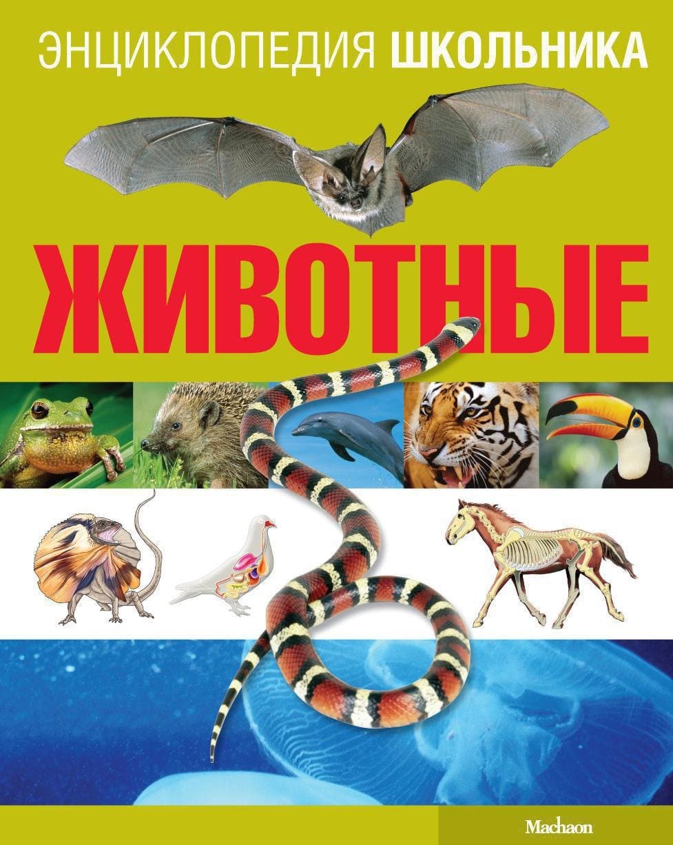 Животные