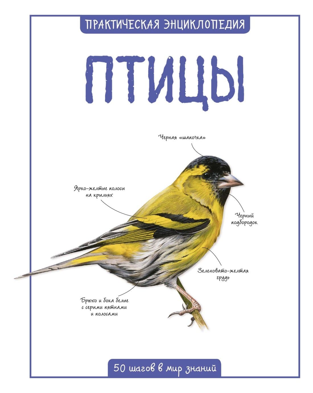 Птицы