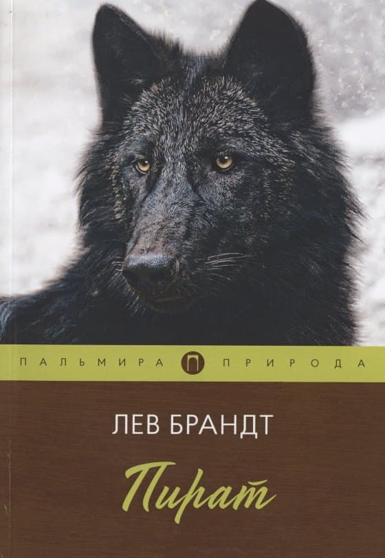 Пират