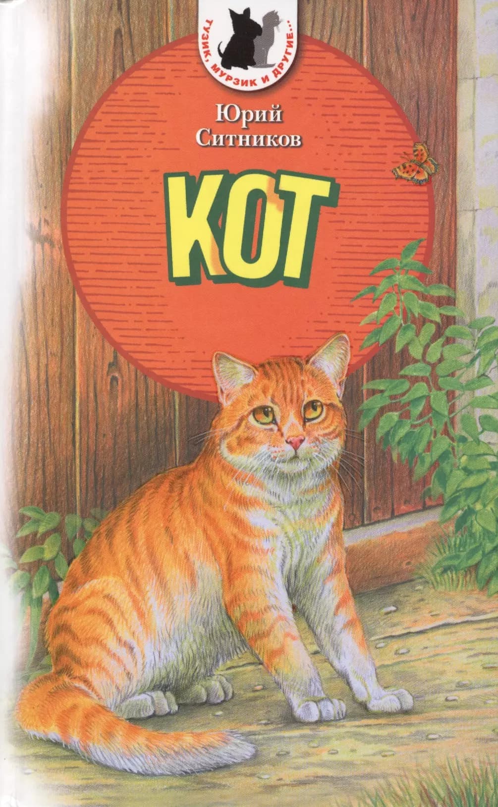 Кот
