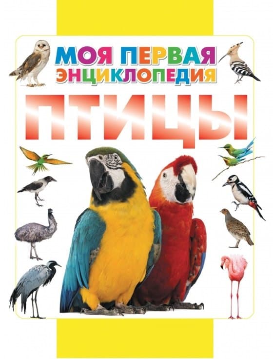 Птицы