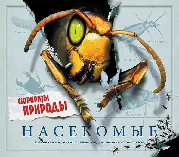Насекомые. Сюрпризы природы