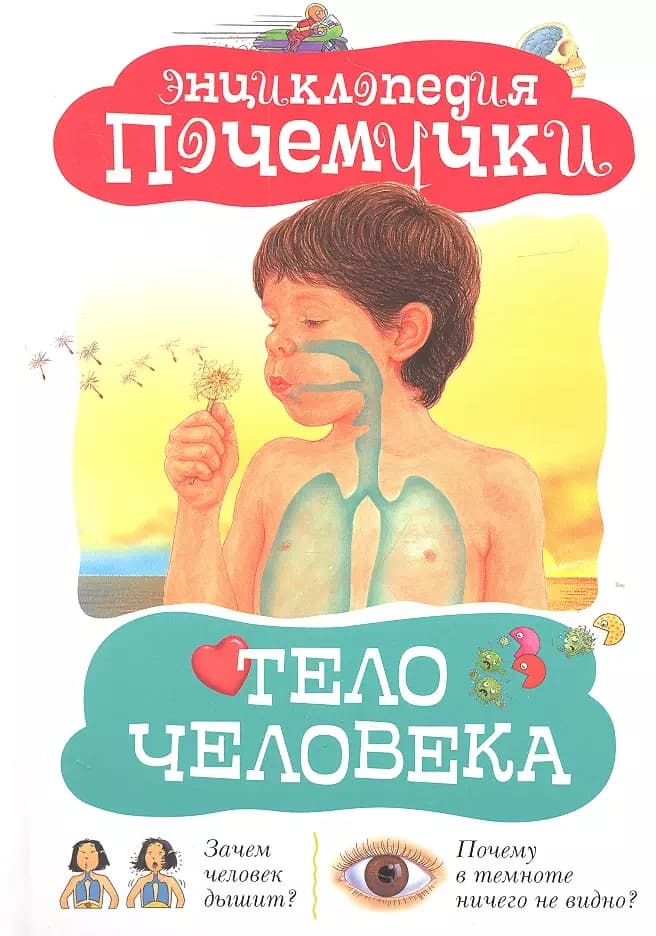 Тело человека
