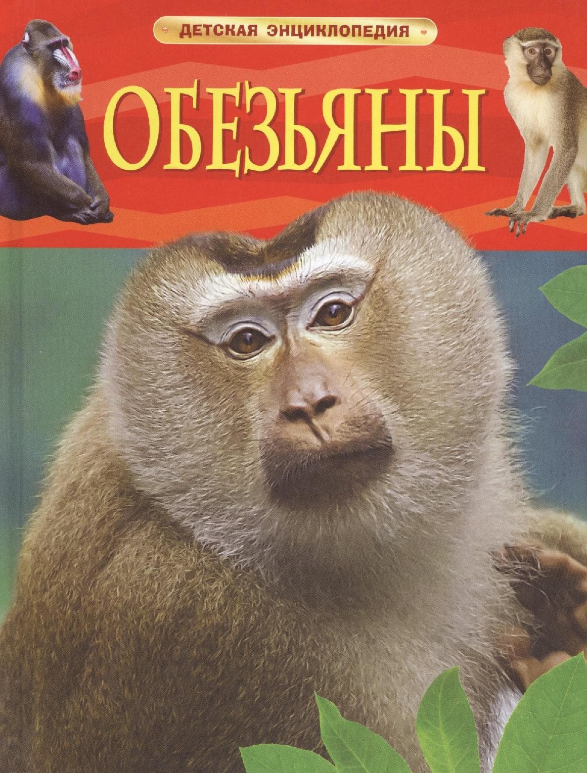 Обезьяны