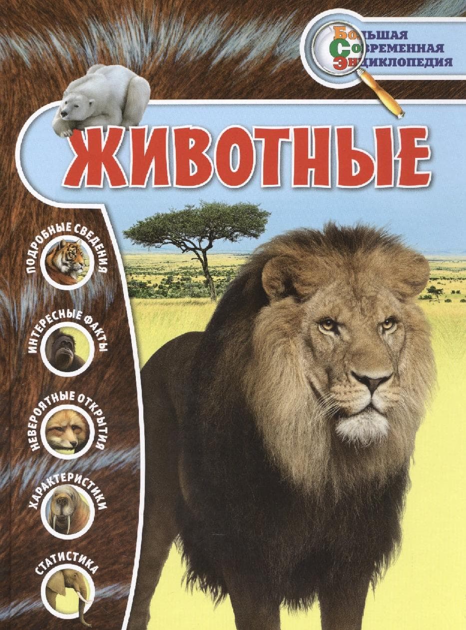 Животные