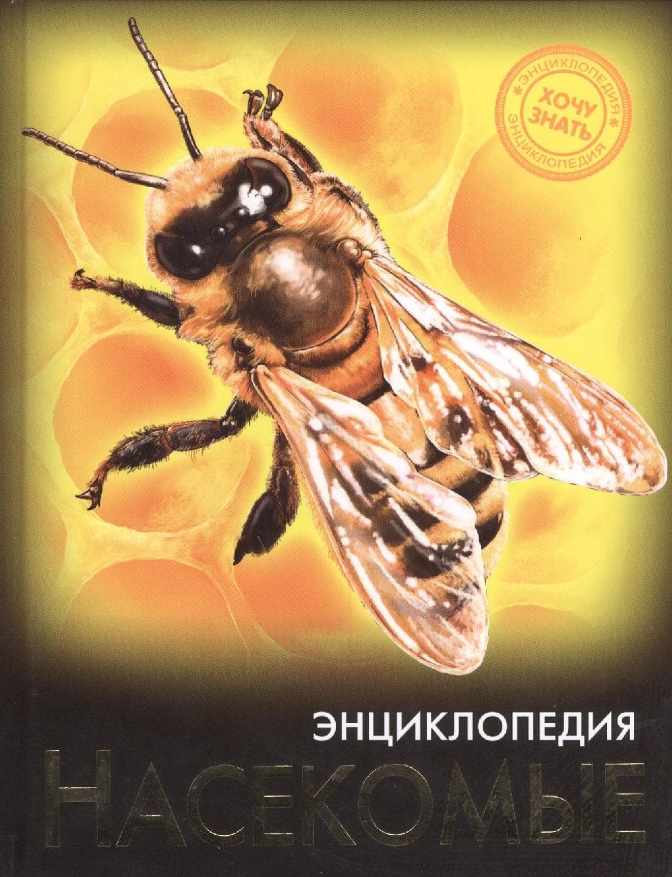Насекомые