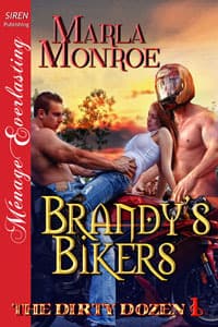 Brandy's Bikers