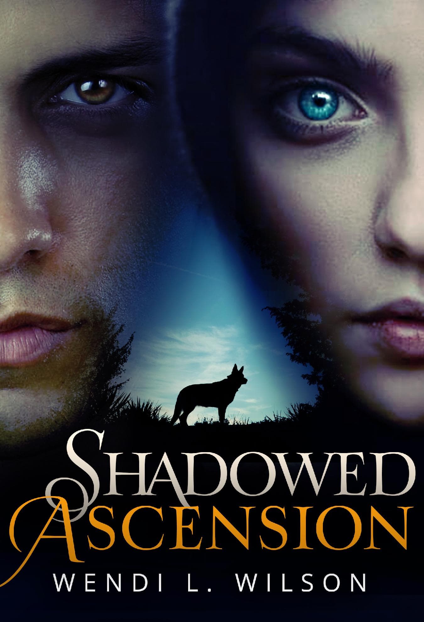 Shadowed Ascension