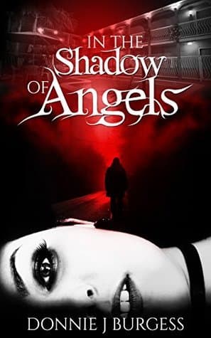 In the Shadow of Angels