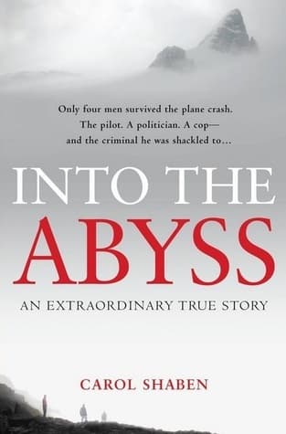 Into the Abyss: How a Deadly Plane Crash Changed the Lives of a Pilot, a Politician, a Criminal and a Cop