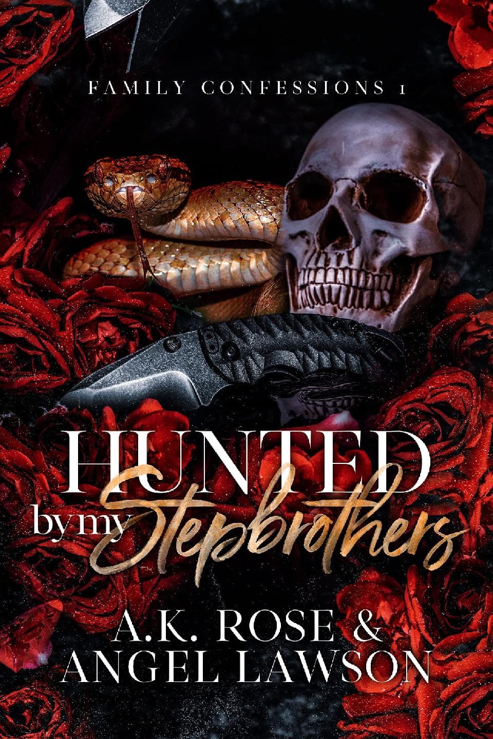 Hunted by My Stepbrothers