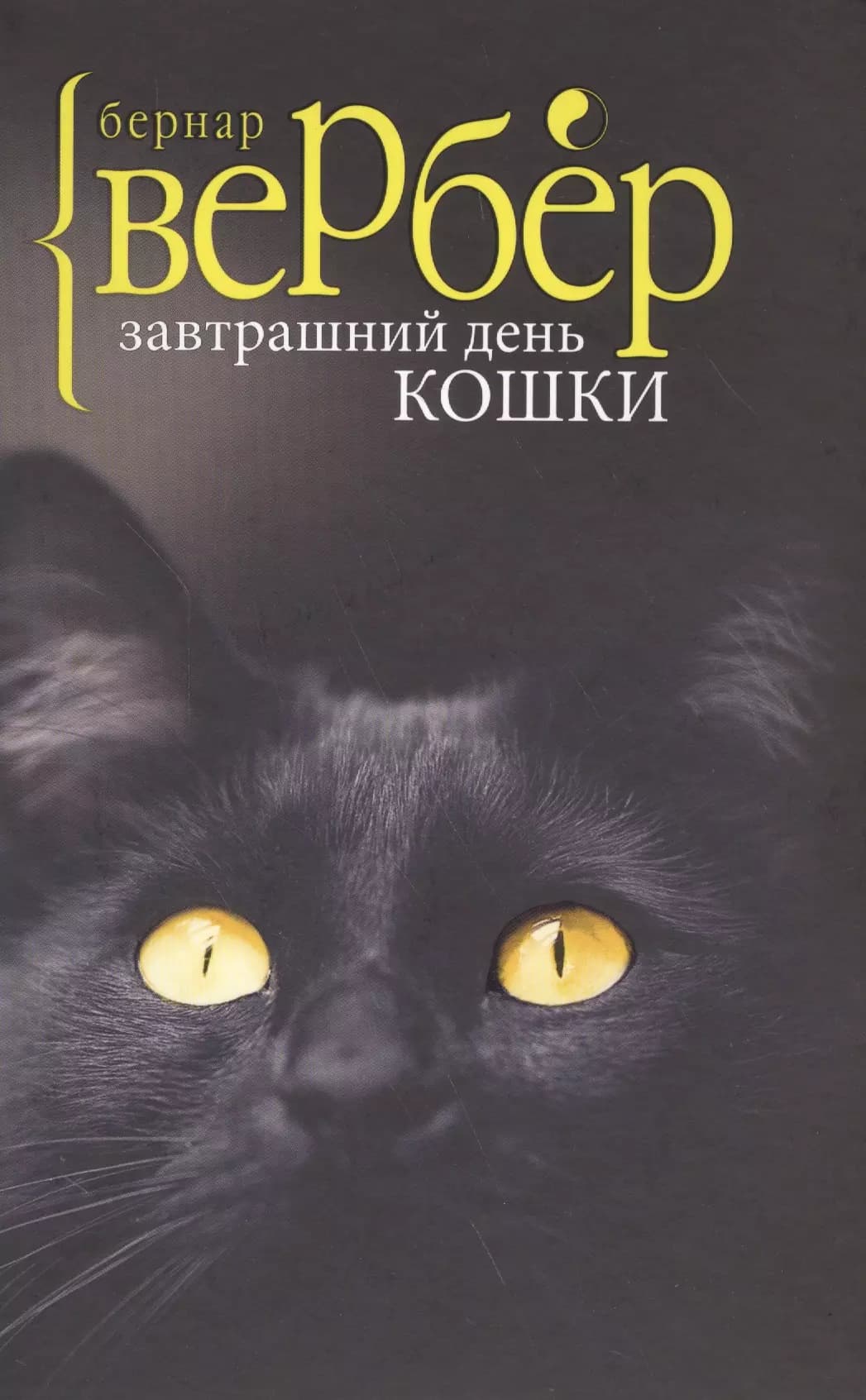 Завтрашний день кошки