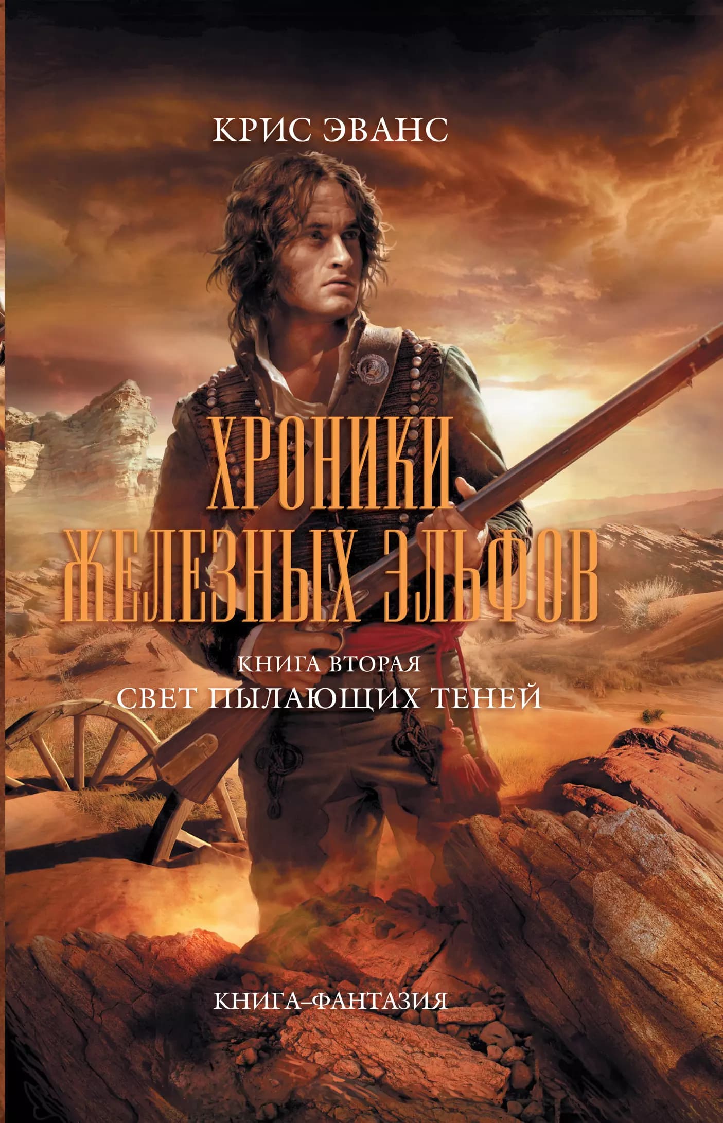 Хроники железных эльфов. Кн. 2. Свет пылающих теней