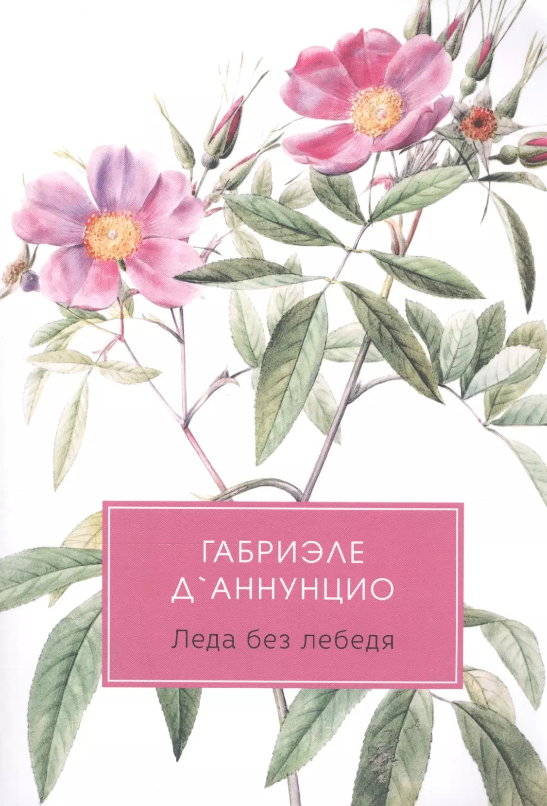 Леда без лебедя