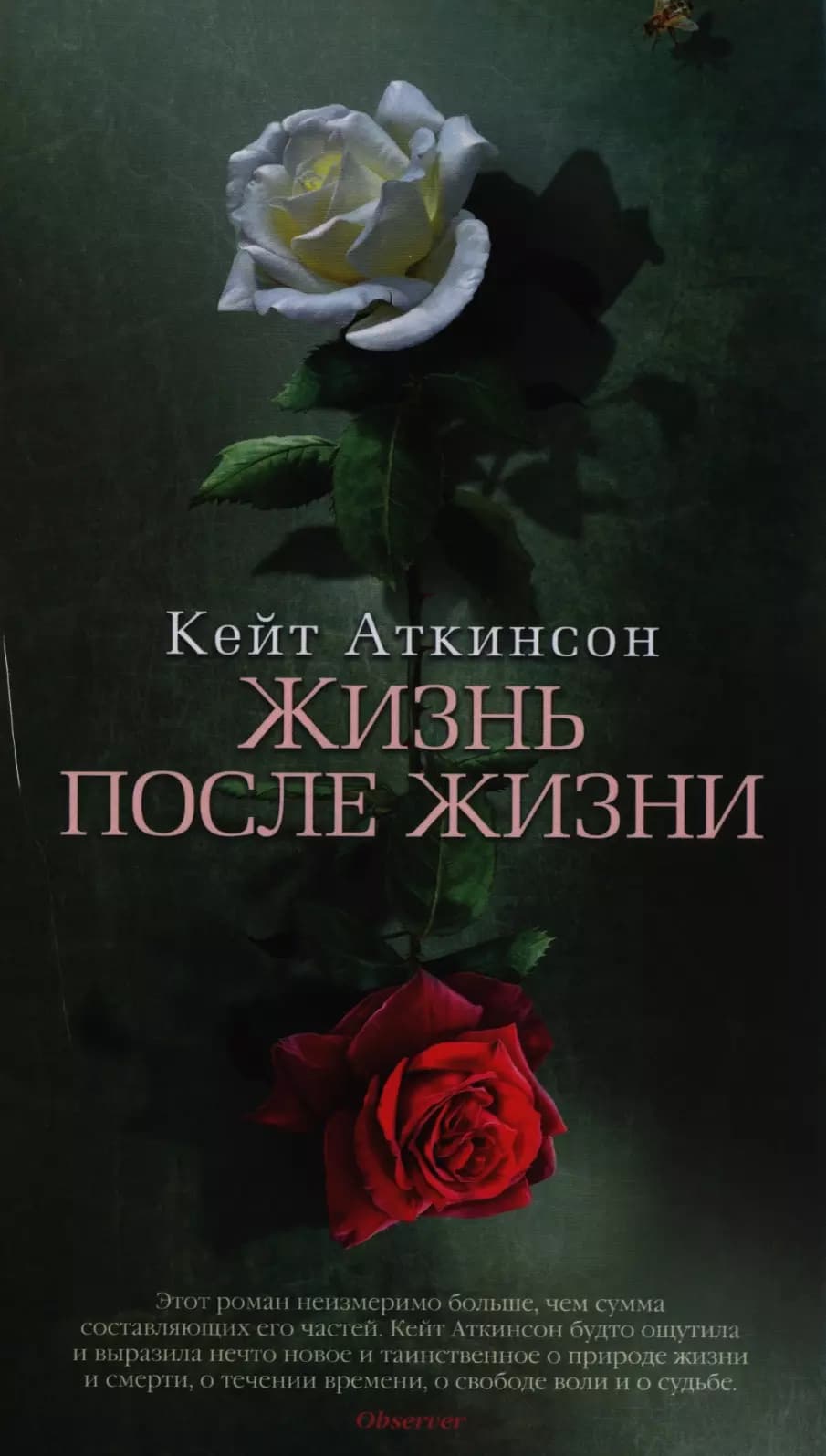 Жизнь после жизни