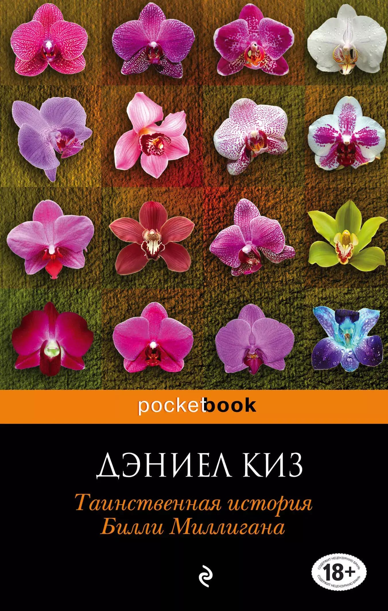 Таинственная история Билли Миллигана