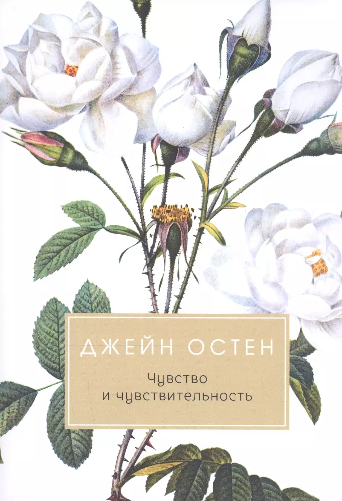 Чувство и чувствительность
