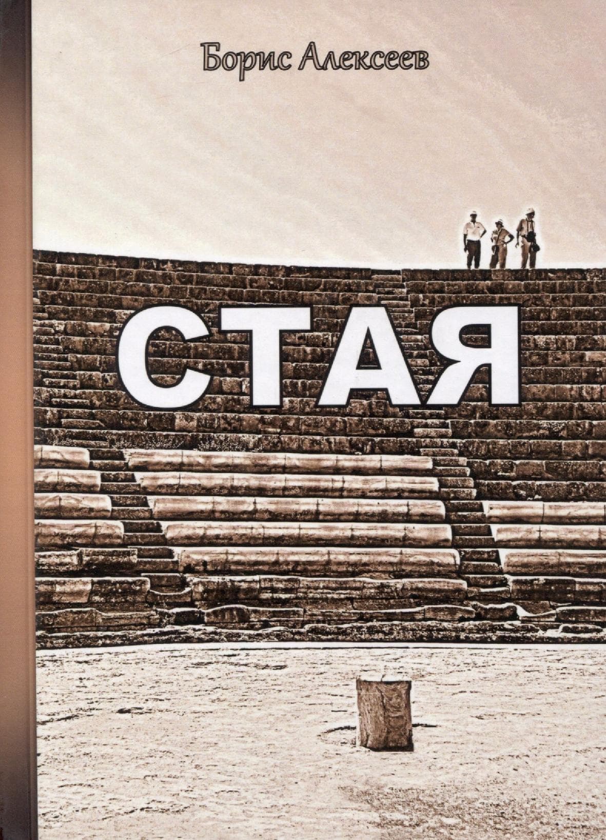 Стая
