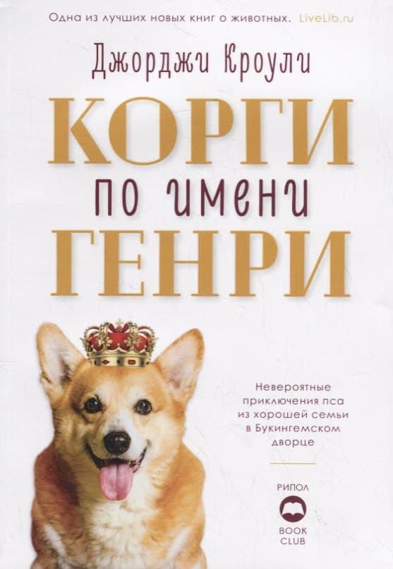 Корги по имени Генри