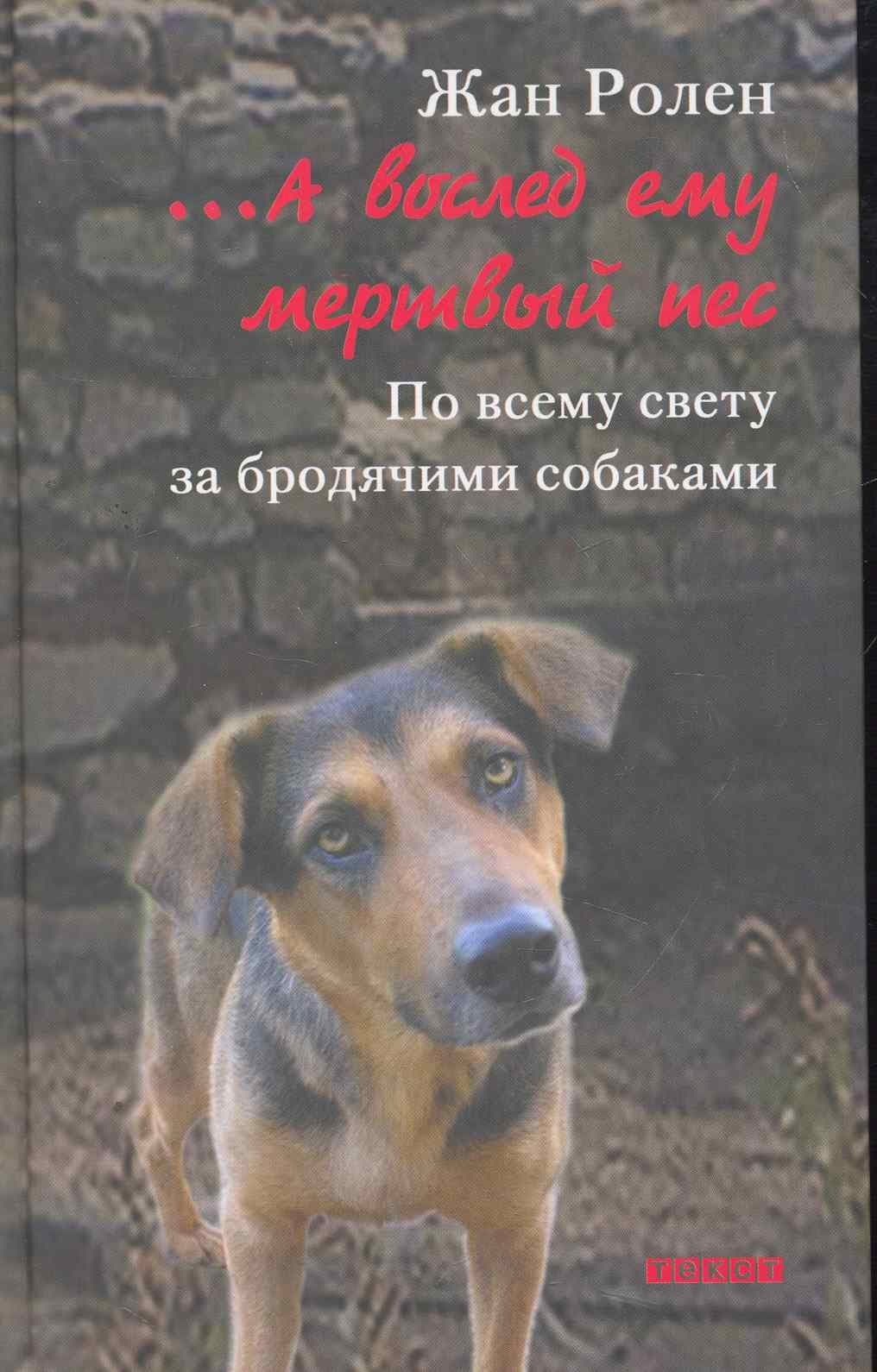 …А вослед ему мертвый пес. По всему свету за бродячими собаками