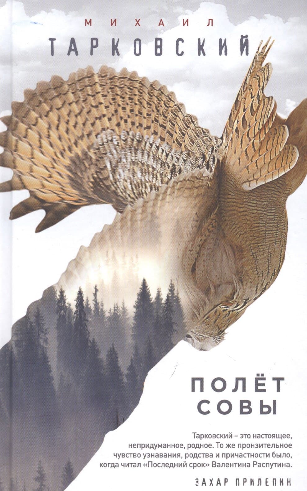 Полёт совы