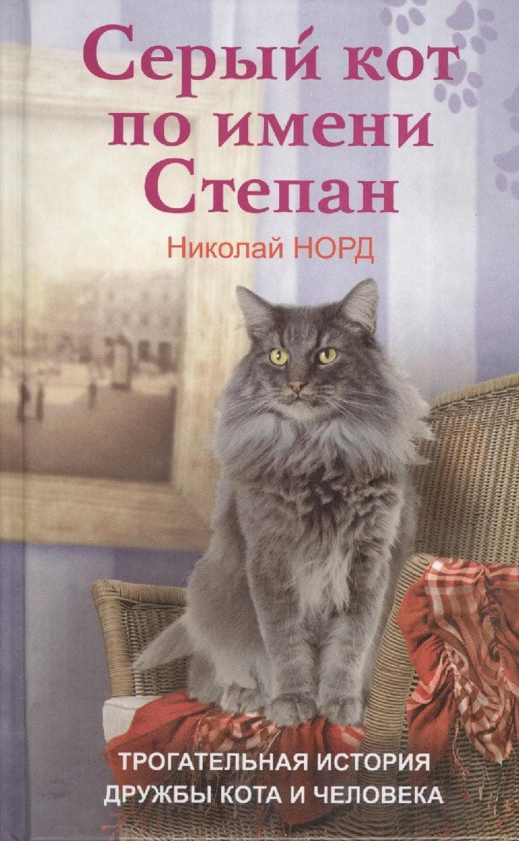 Серый кот по имени Степан. Трогательная история дружбы кота и человека