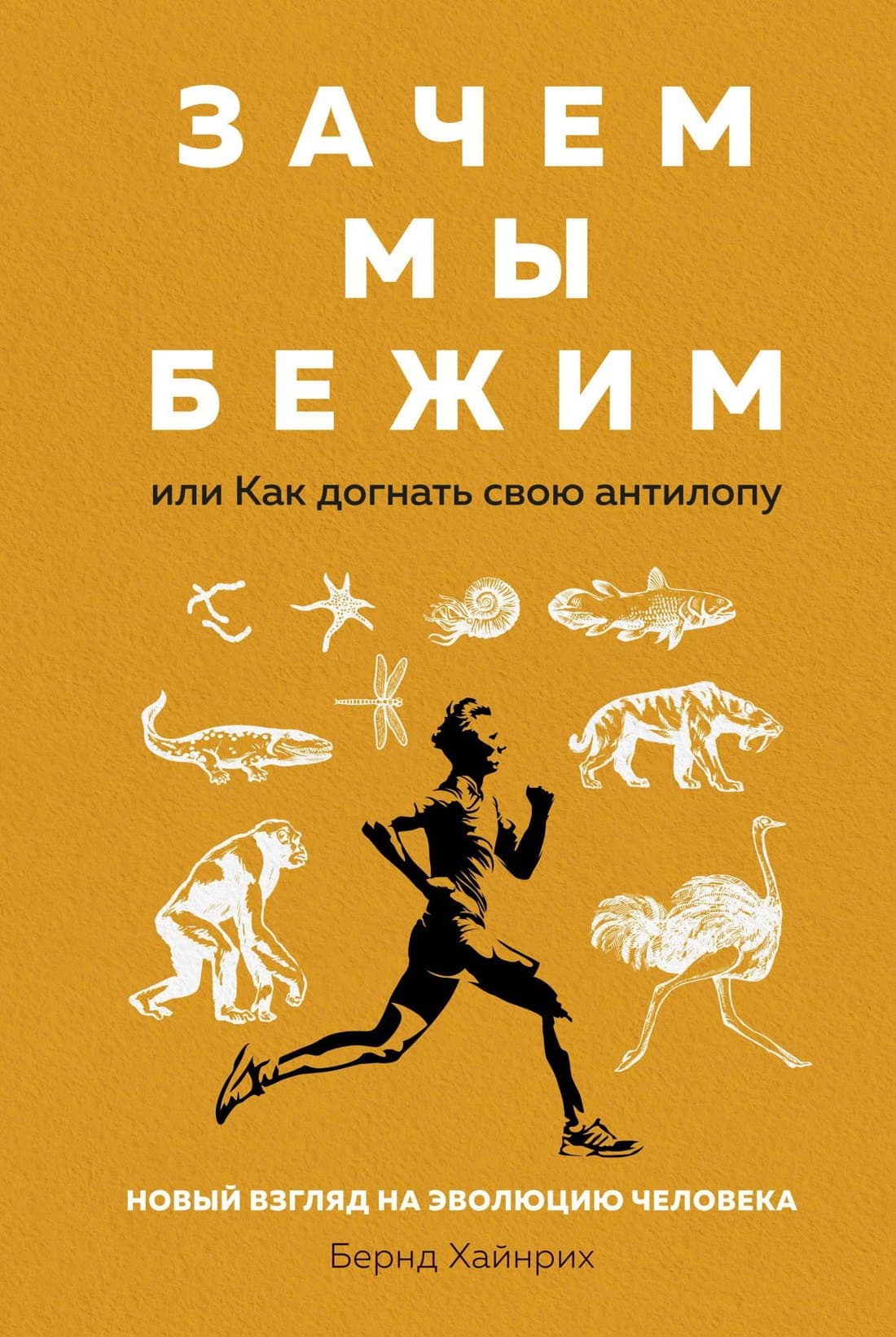 Зачем мы бежим, или Как догнать свою антилопу. Новый взгляд на эволюцию человека