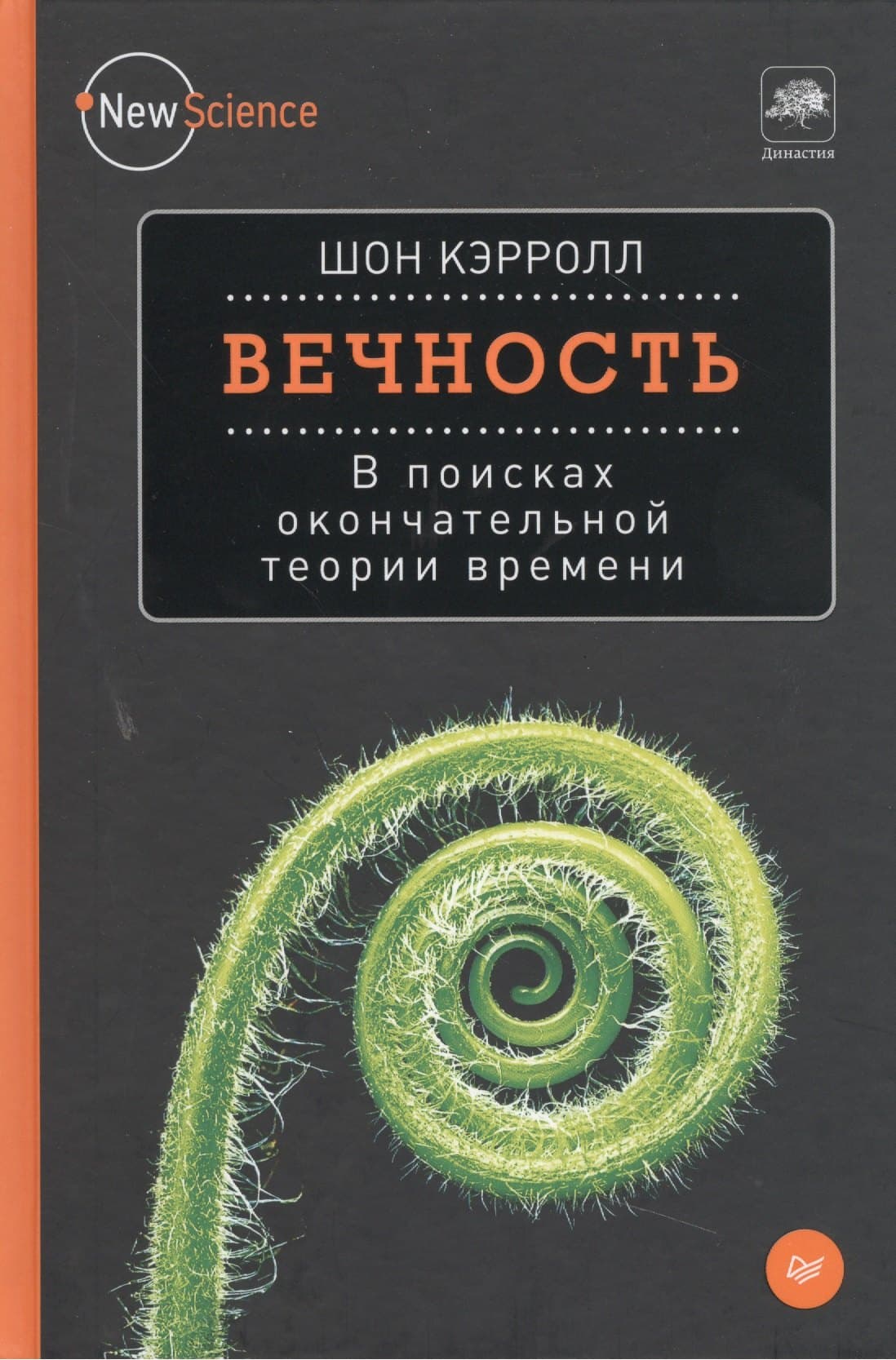 Вечность. В поисках окончательной теории времени