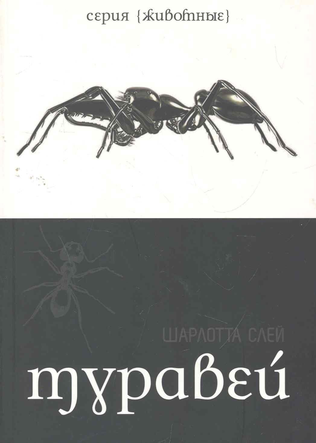Муравей