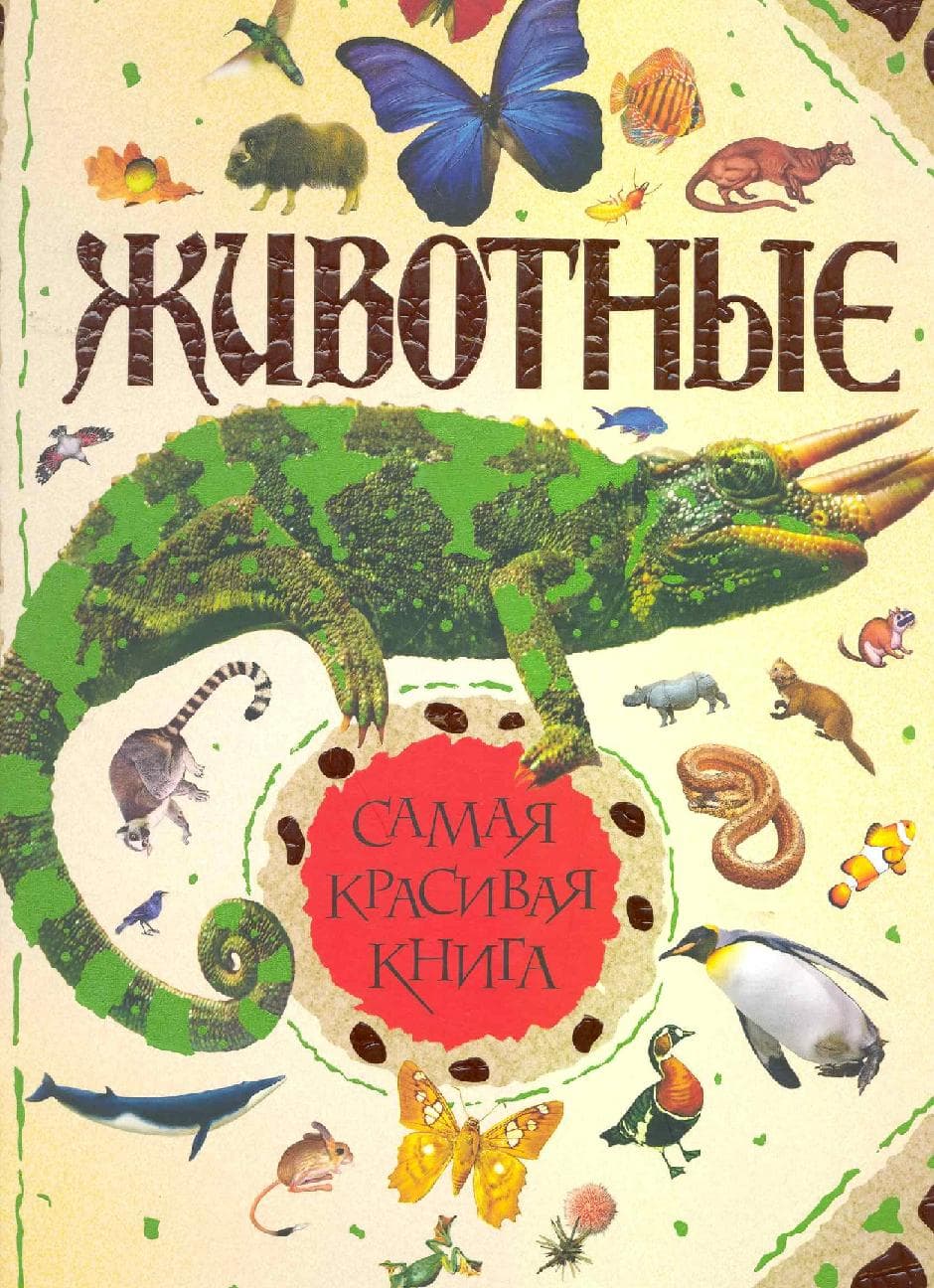 Животные