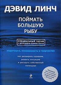 Поймать большую рыбу: медитация, осознанность и творчество
