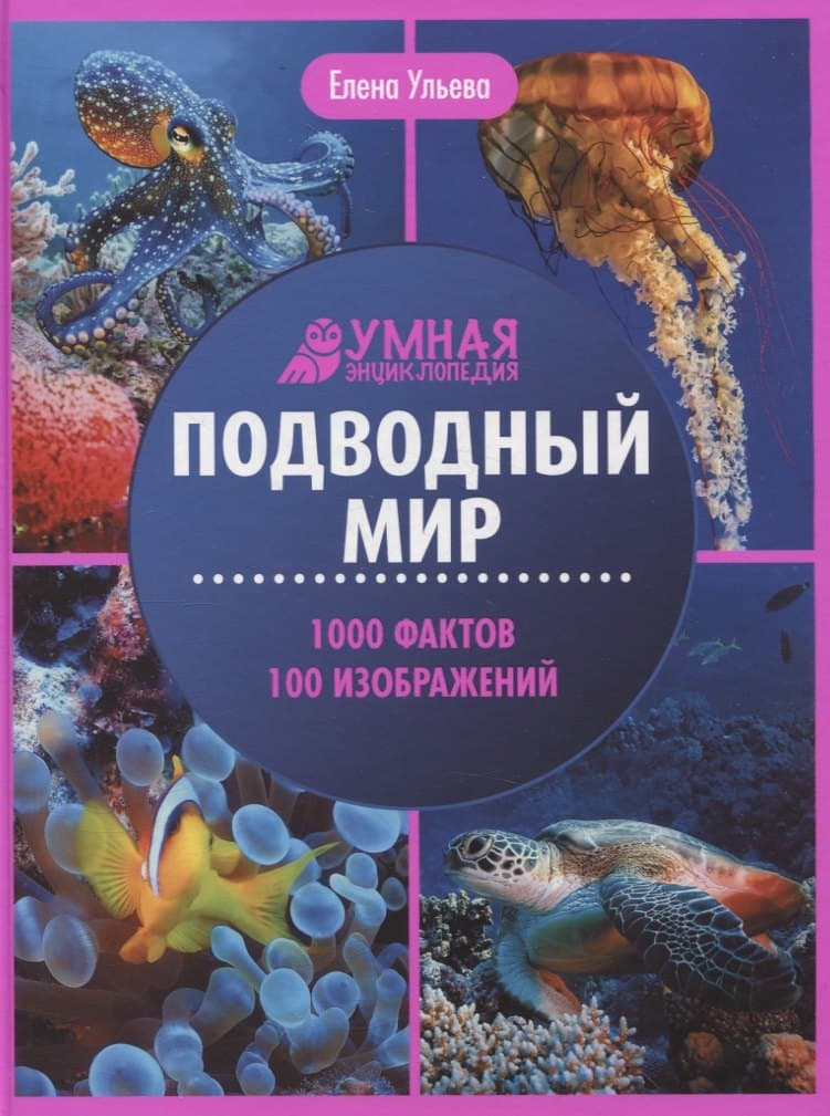 Подводный мир