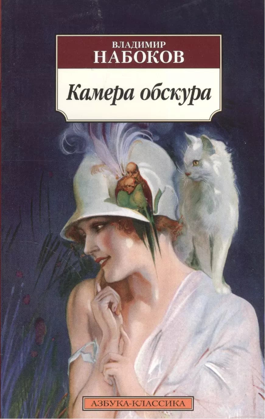 Камера обскура