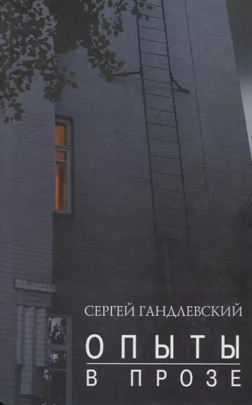 Опыт в прозе