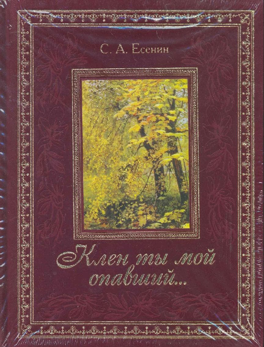 Клен ты мой опавший