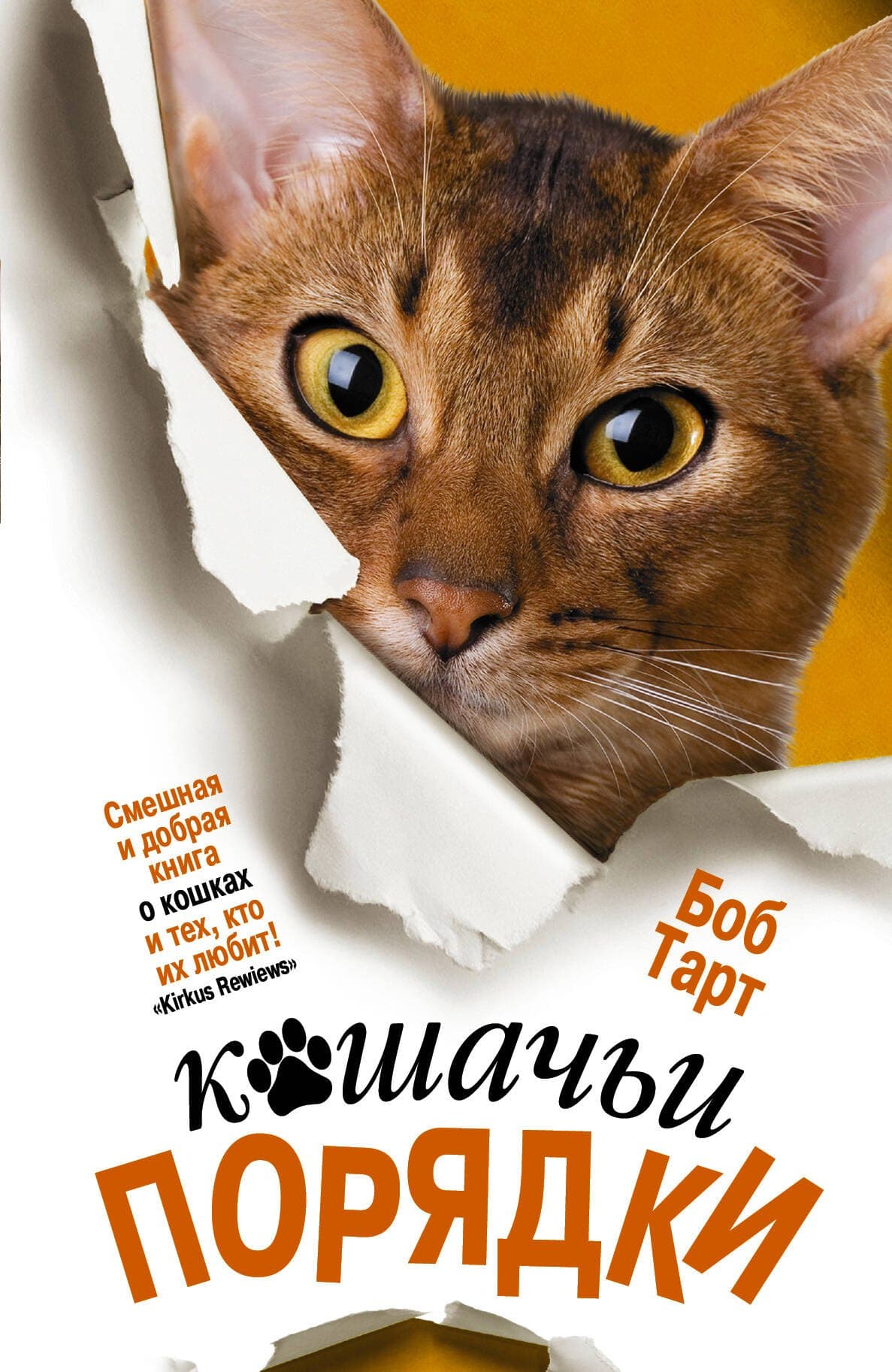 Кошачьи порядки