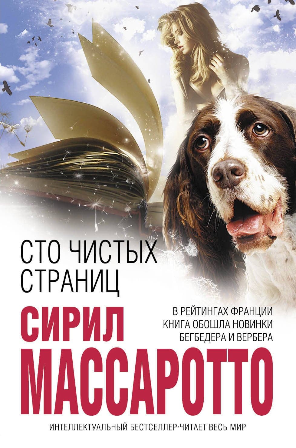 Сто чистых страниц