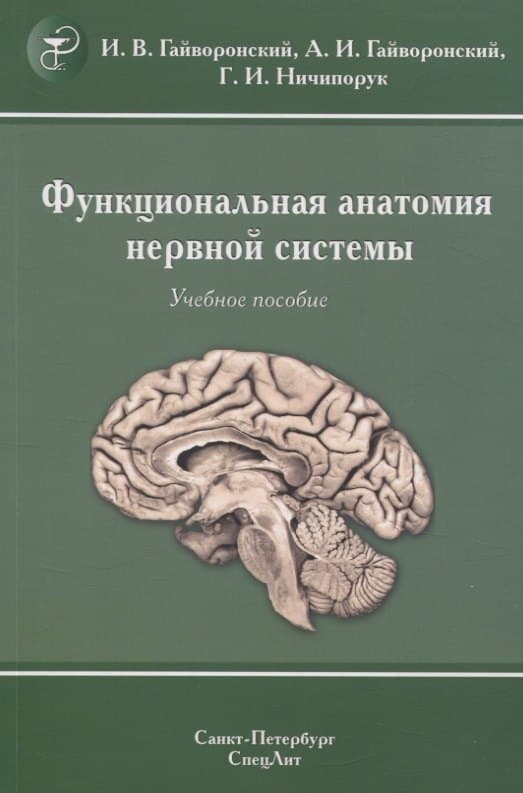 Функциональная анатомия нервной системы