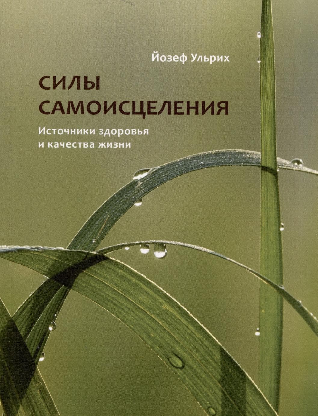 Силы самоисцеления. Источники здоровья и качества жизни