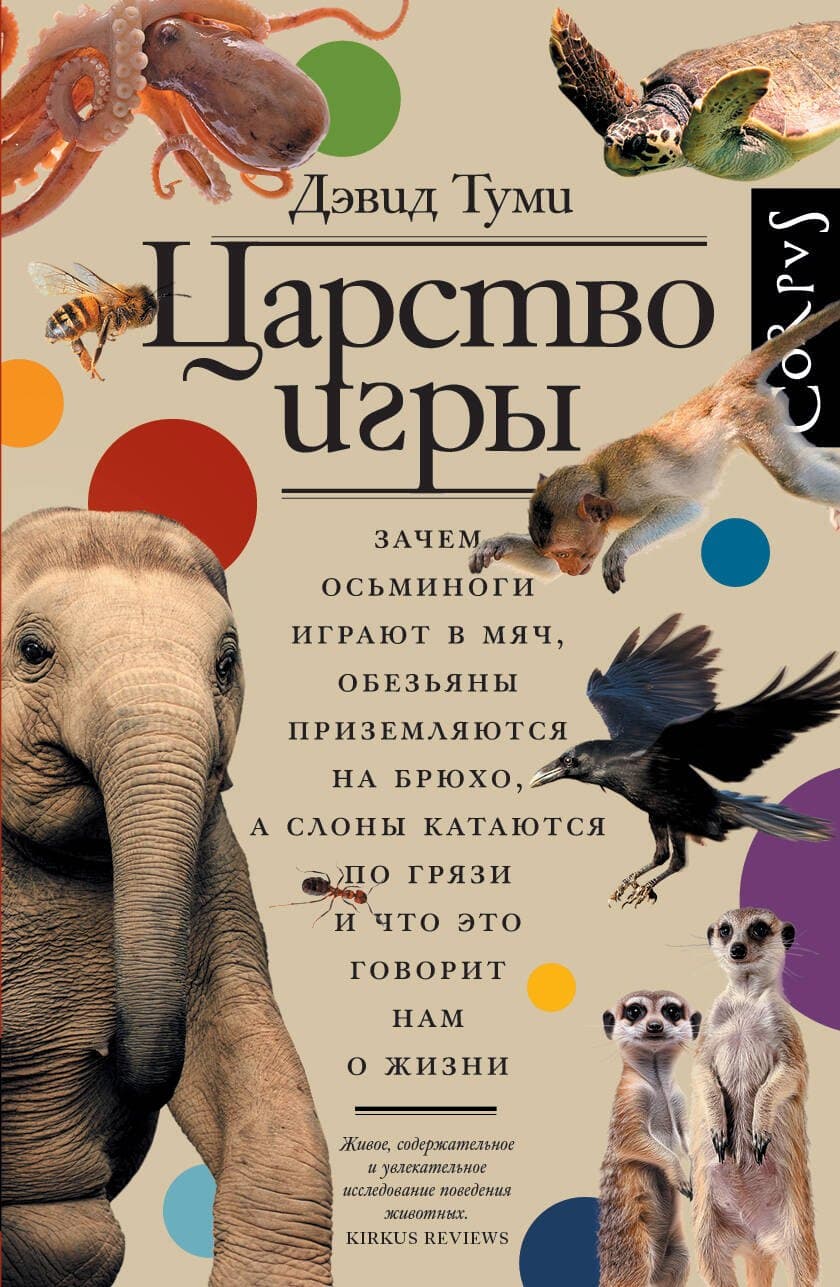 Царство игры