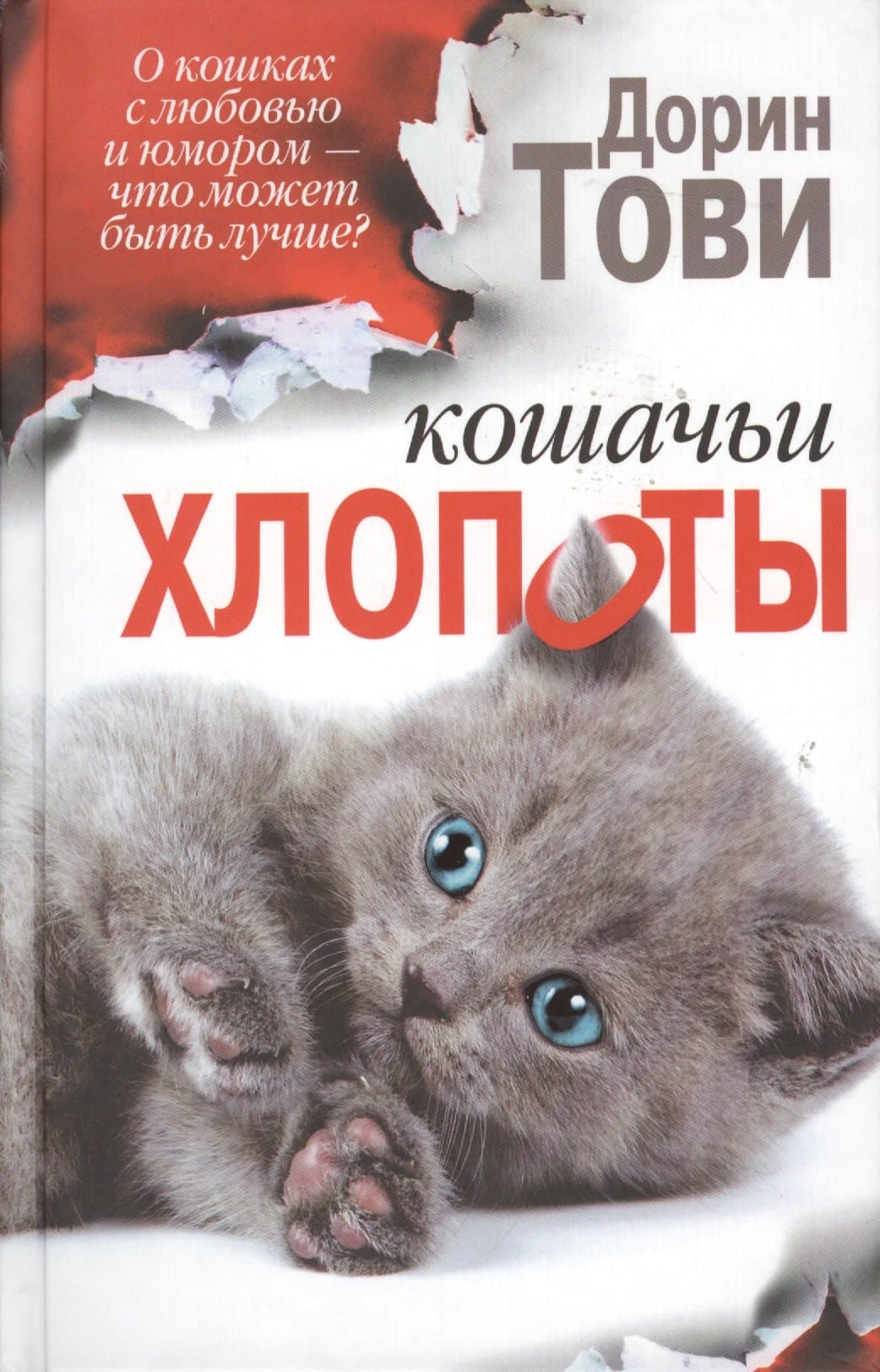 Кошачьи хлопоты
