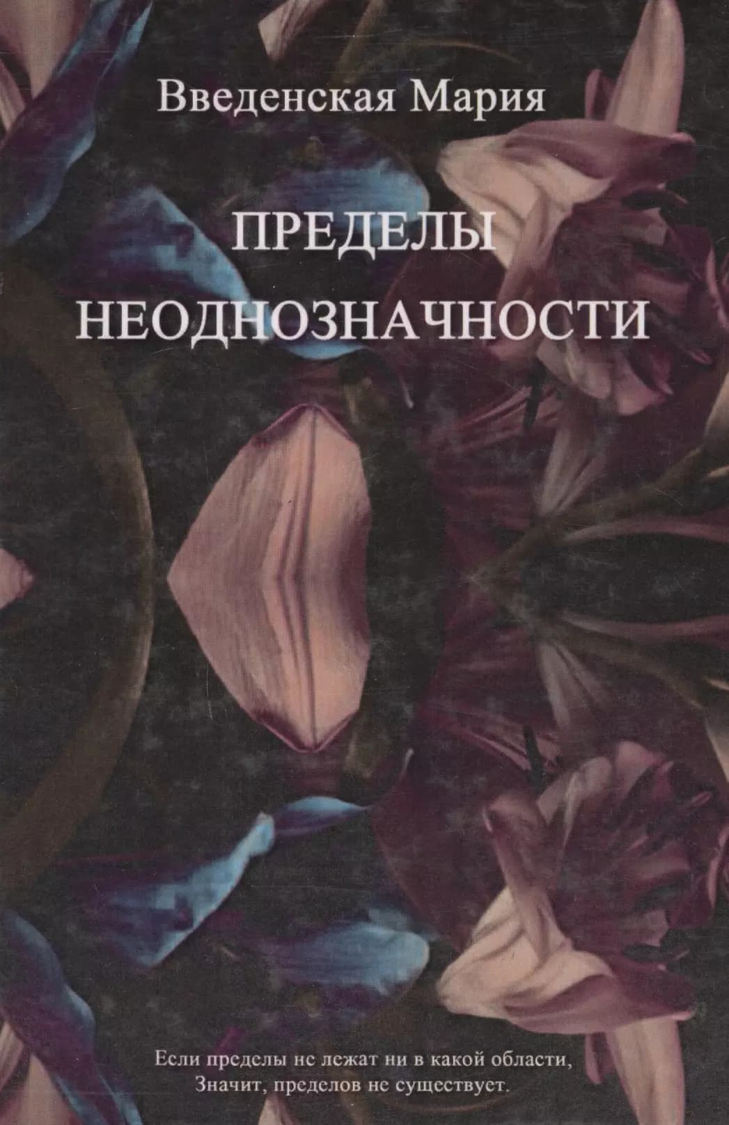 Пределы Неоднозначности