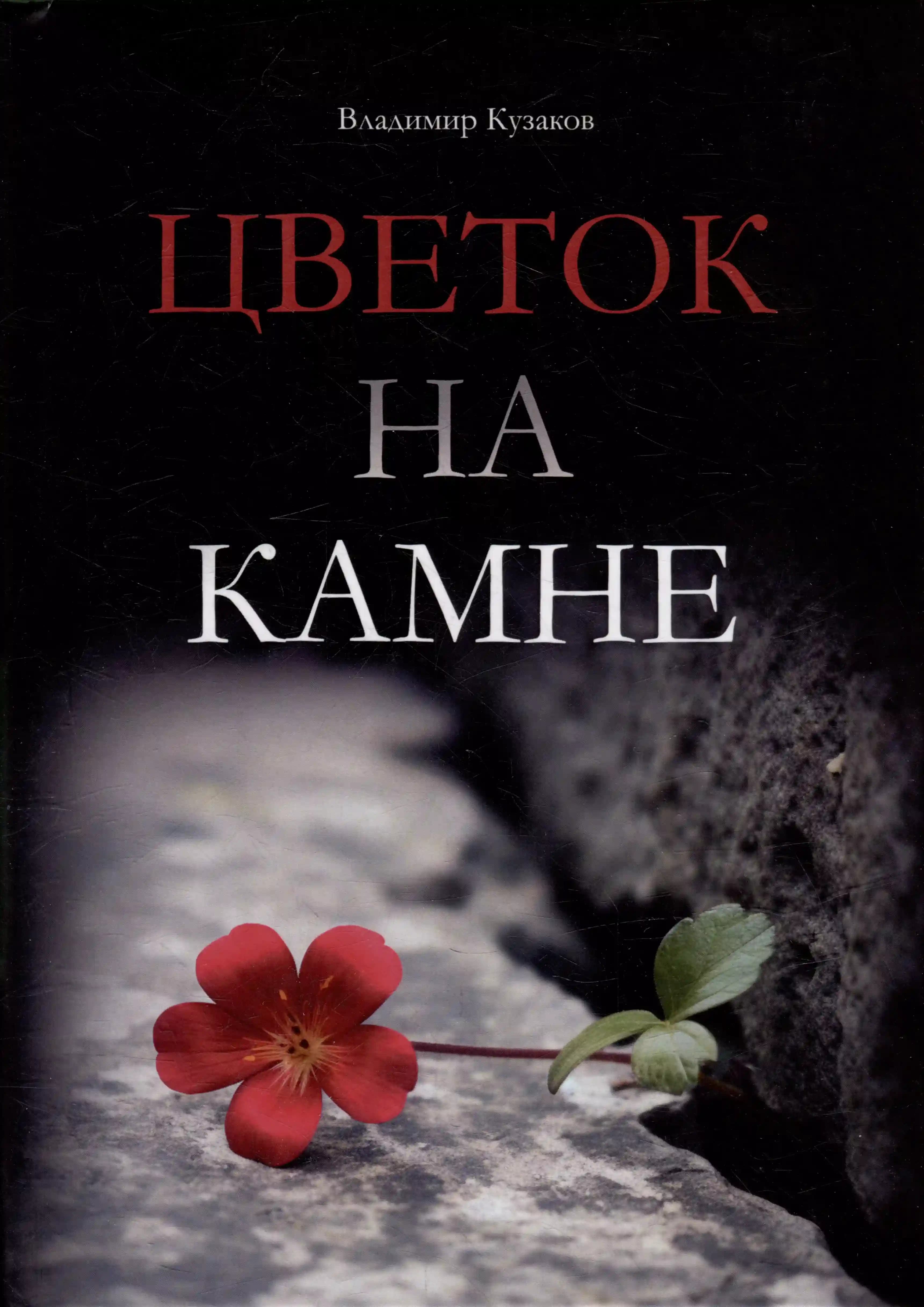 Цветок на камне
