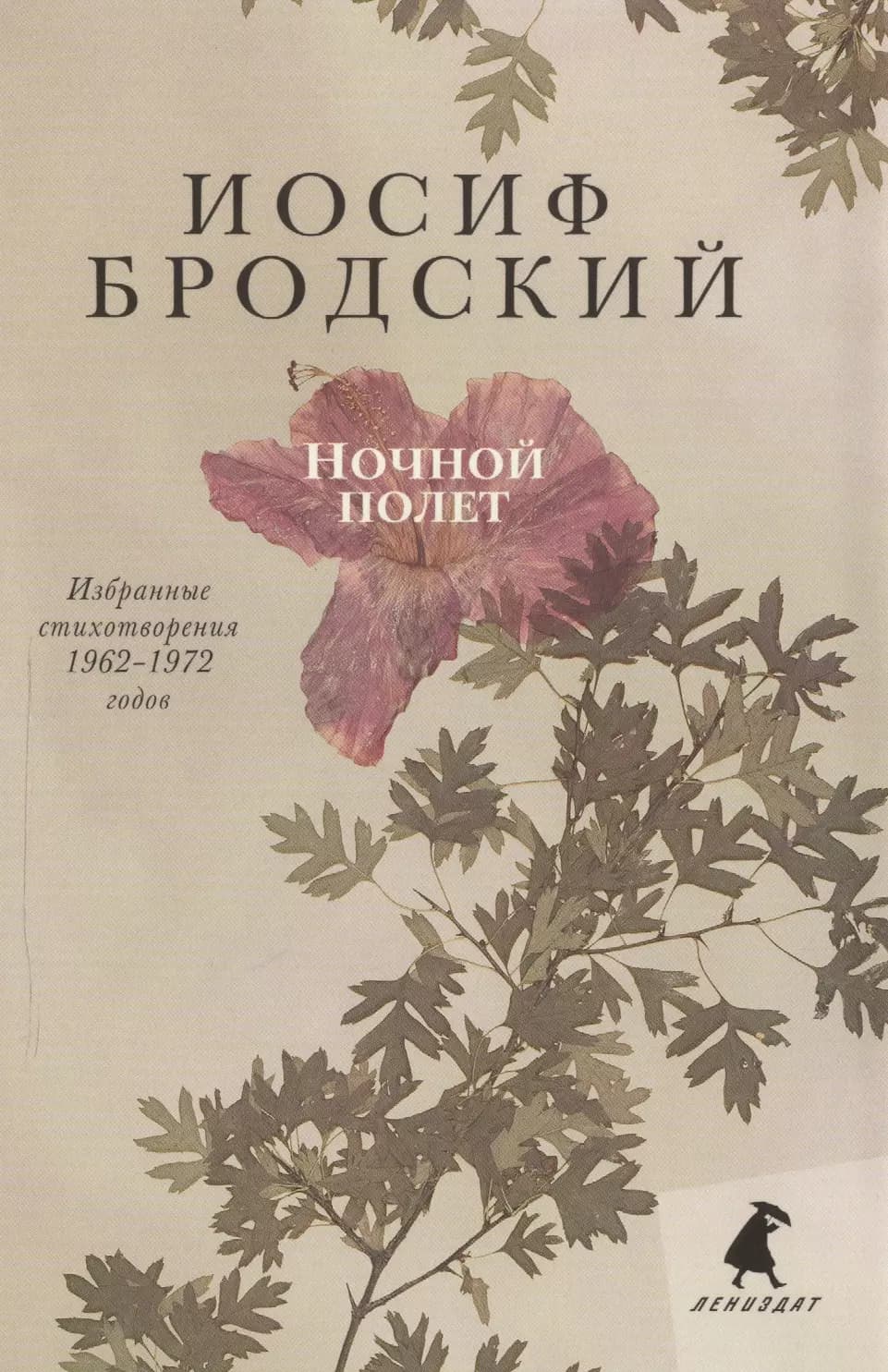 Ночной полет