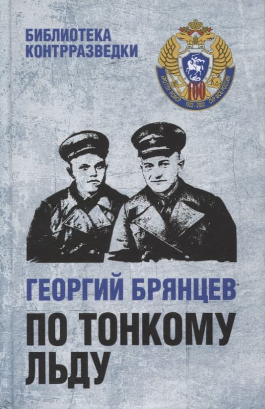 По тонкому льду. Роман